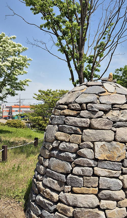 교항리 이팝나무 군락지 입구