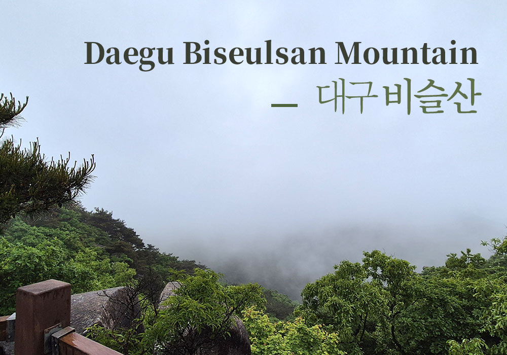 [대구 가볼 만한 곳] 구름 속을 걷는 기분, 비 오는 날의 운치 있는 비슬산 나들이