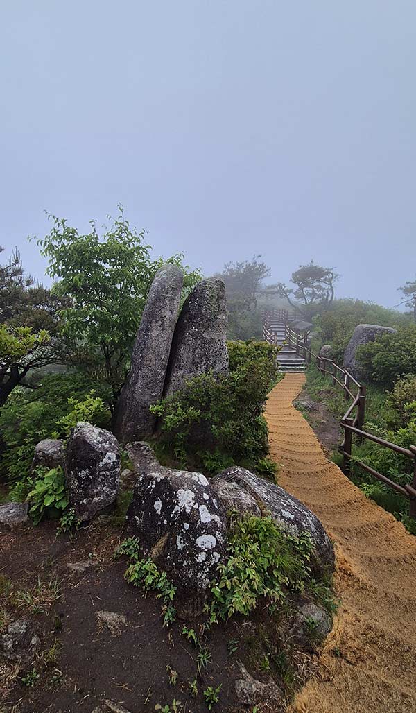비슬산 능선 산책로