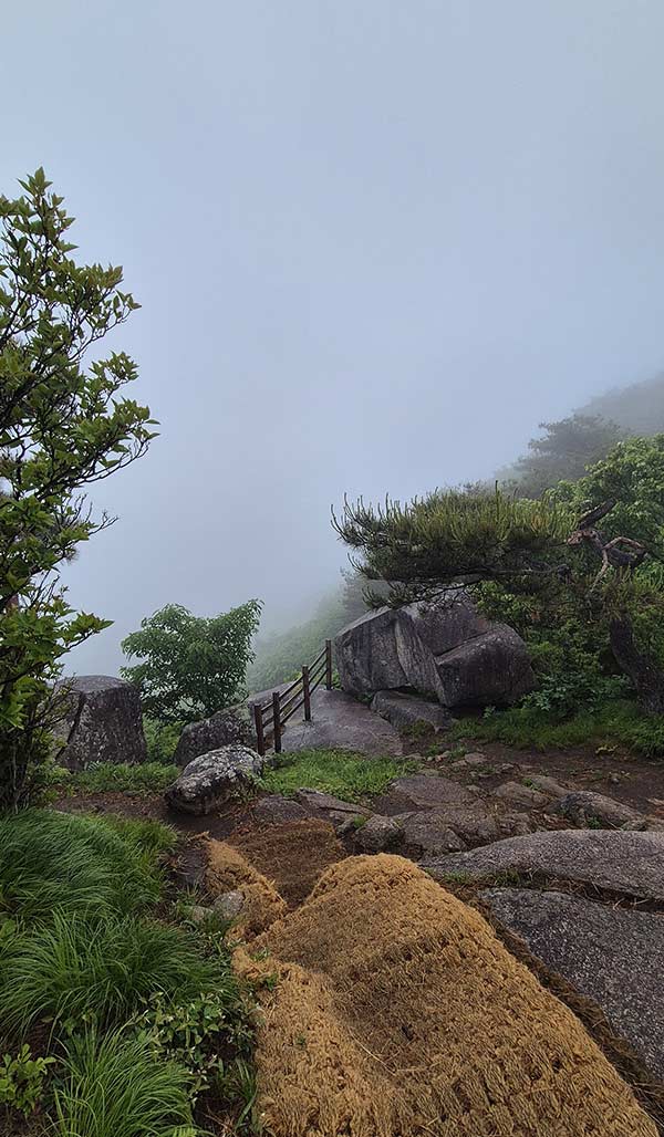 비슬산 능선 2