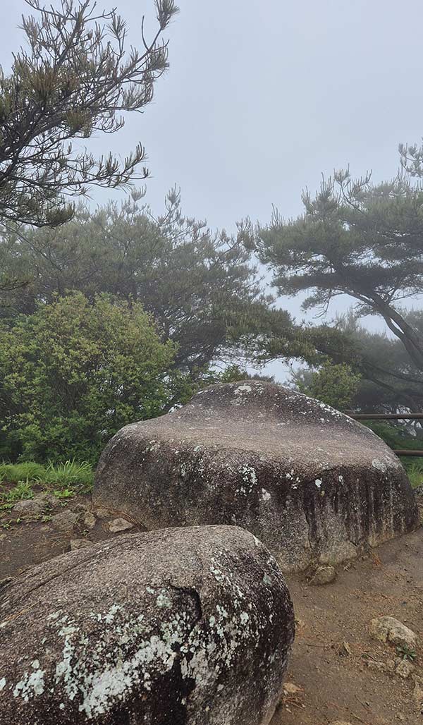 참선 바위
