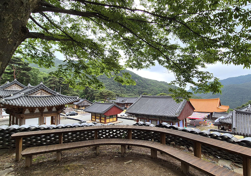 [대구 가볼 만한 곳] 비 온 뒤 더 고즈넉한 비슬산 유가사, 아늑함에 반하다 (템플스테이 정보 포함)