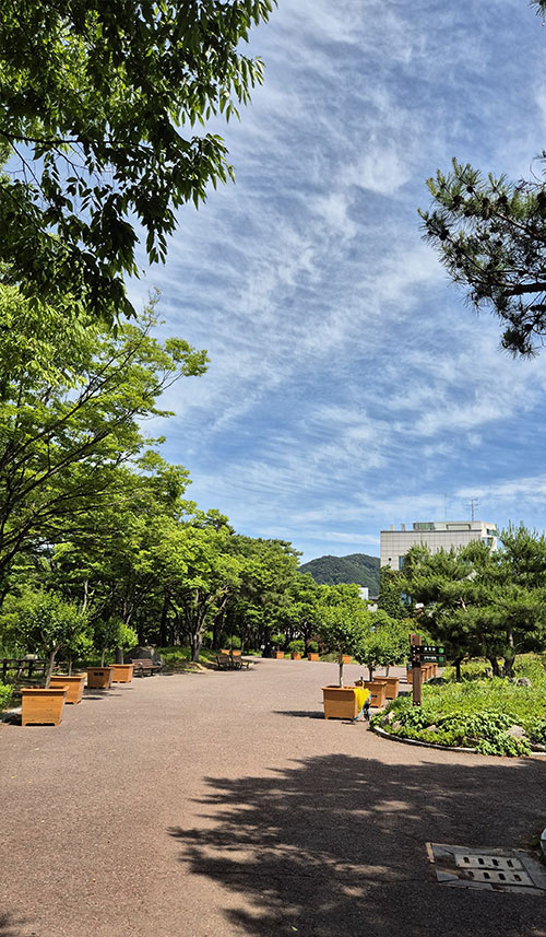 수목원 산책