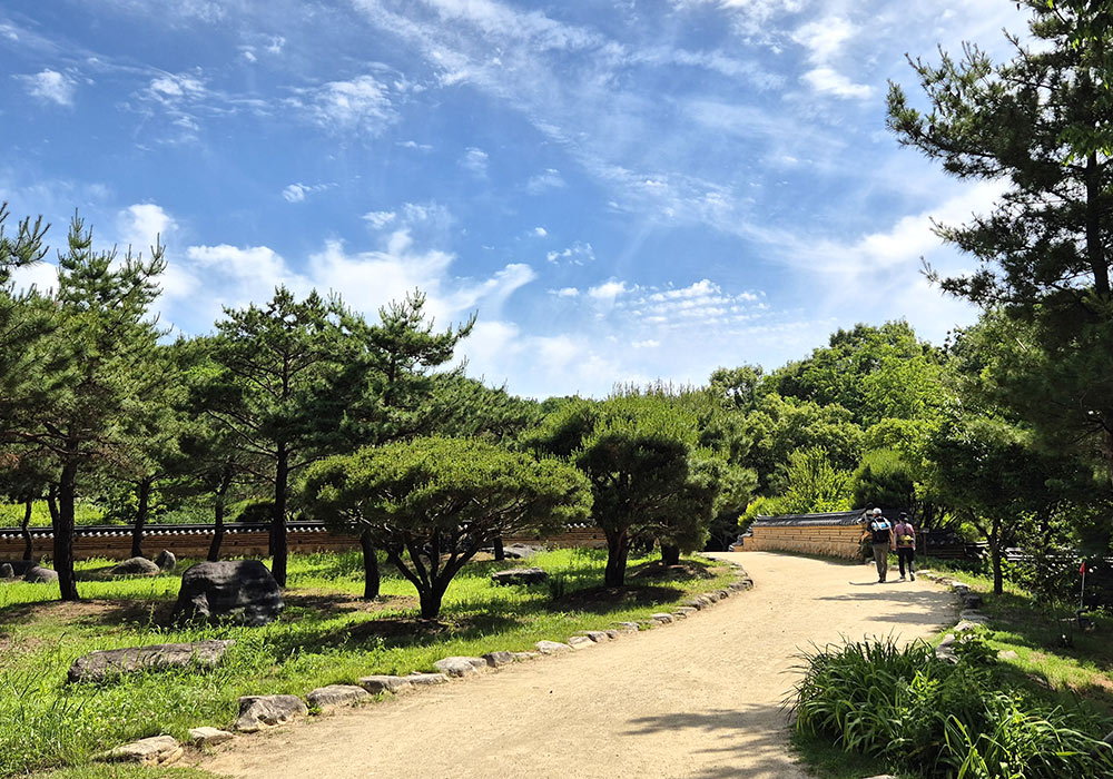 이번 주 일상 풍경