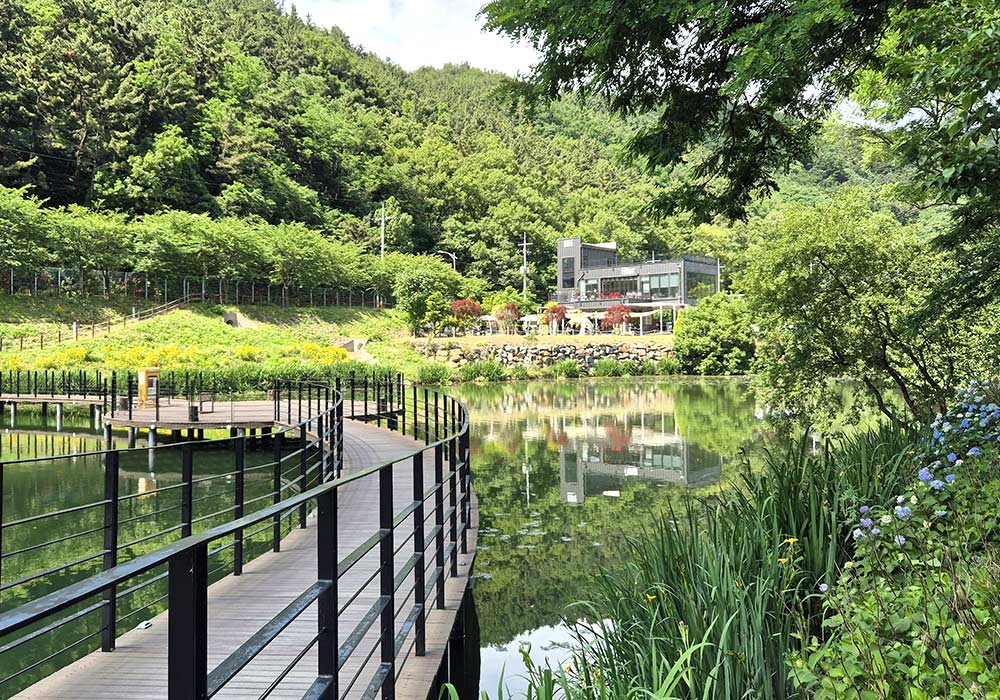 대덕지 전경