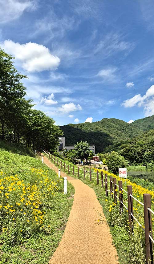 수성구 진밭골 트레킹