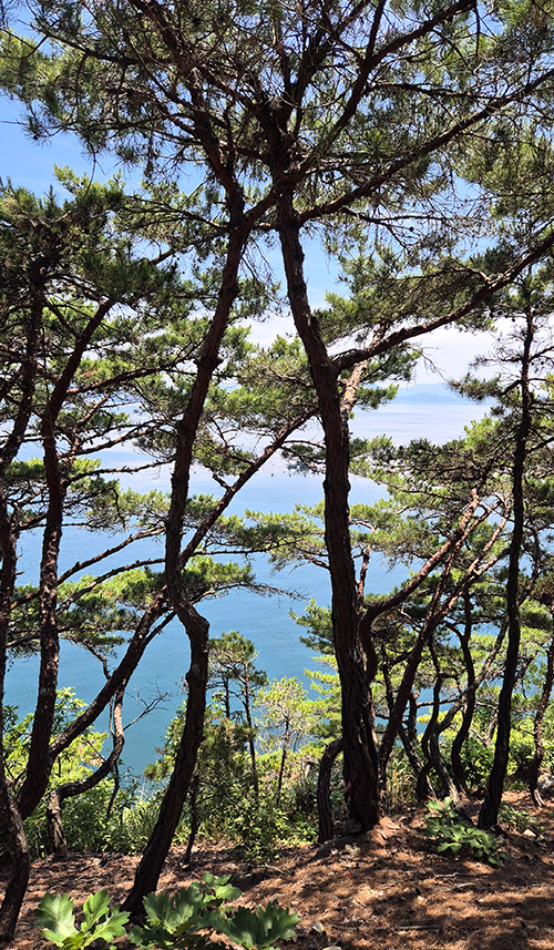 트레킹 중 바라본 푸른 마산 바다