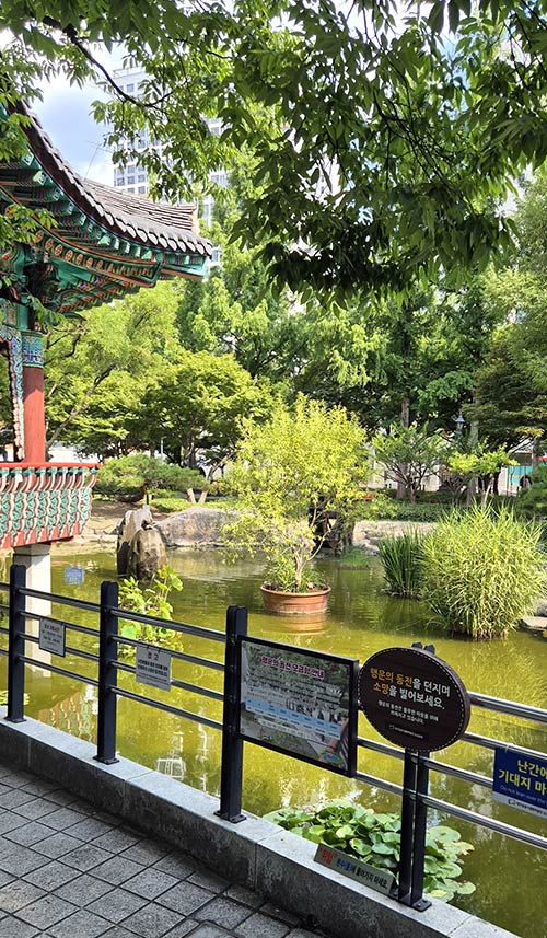 공원 내 평화롭고 잔잔한 연못 풍경