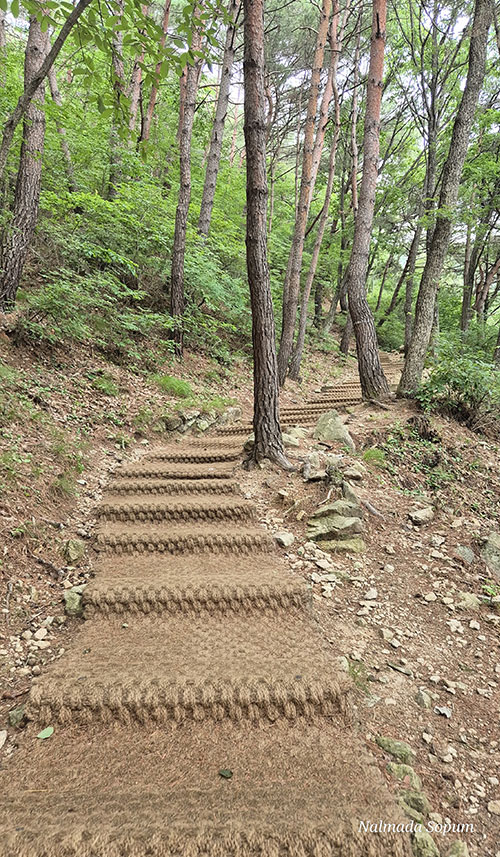 경사가 심하지 않아 오르기 편한 계단