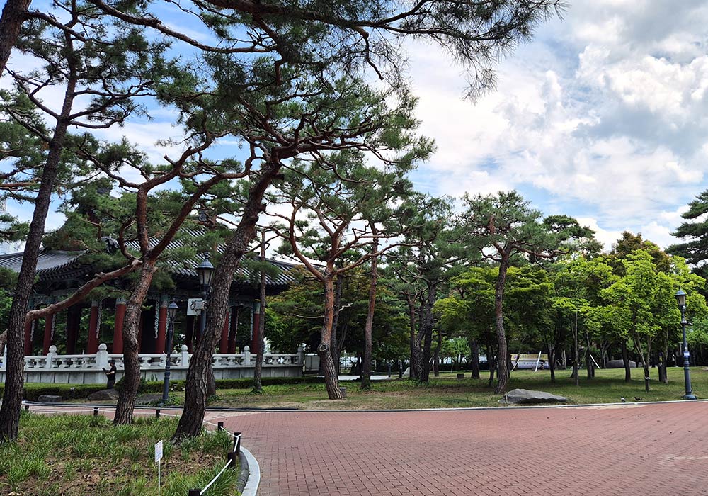 푸른 녹음이 우거진 대구 국채보상운동기념공원 산책로