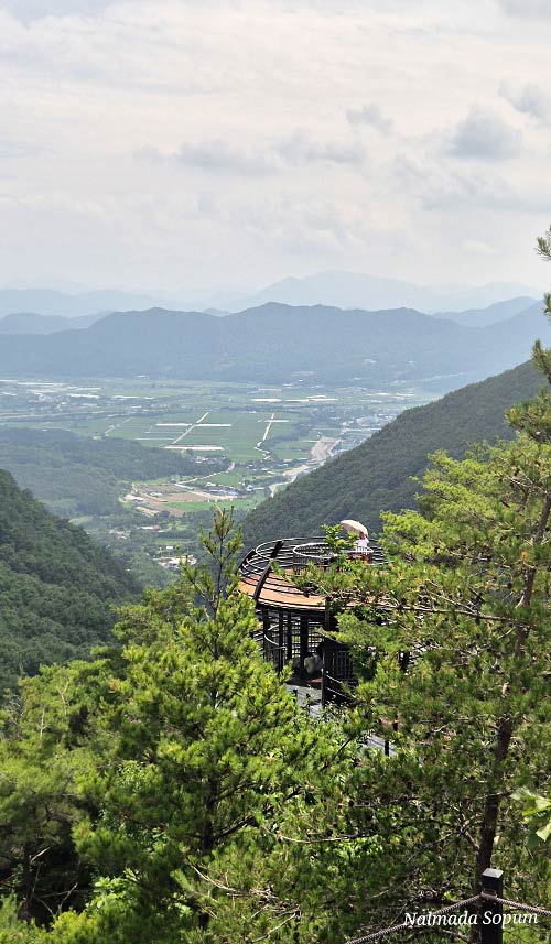 독특한 새 둥지 모양의 우두산 둥지 전망대