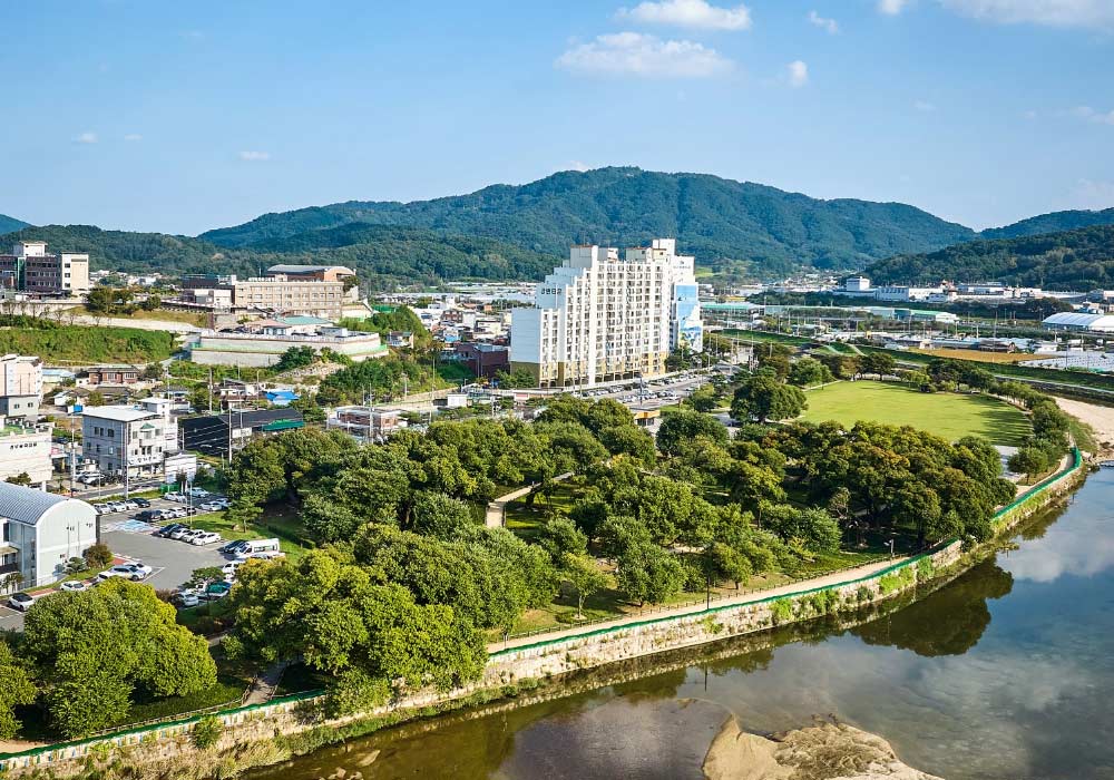 성주 성밖 숲 전경