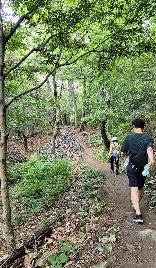 싱그러운 진밭골 트레킹 로드