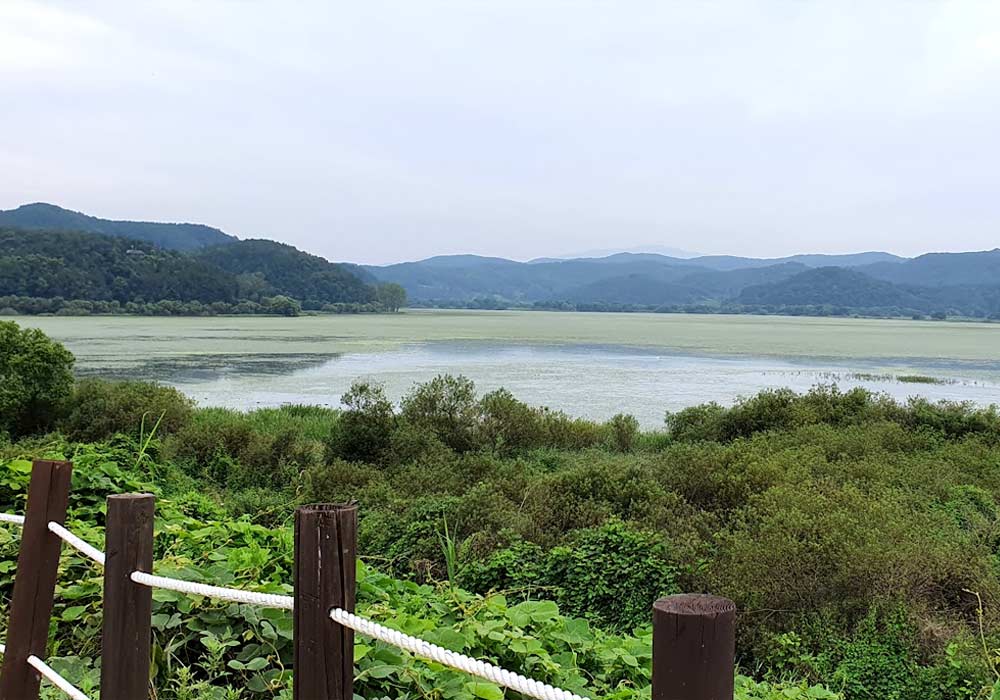 창녕 우포늪