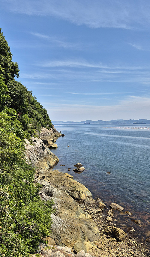 해안 데크길을 따라 이어진 웅장한 바다 절벽