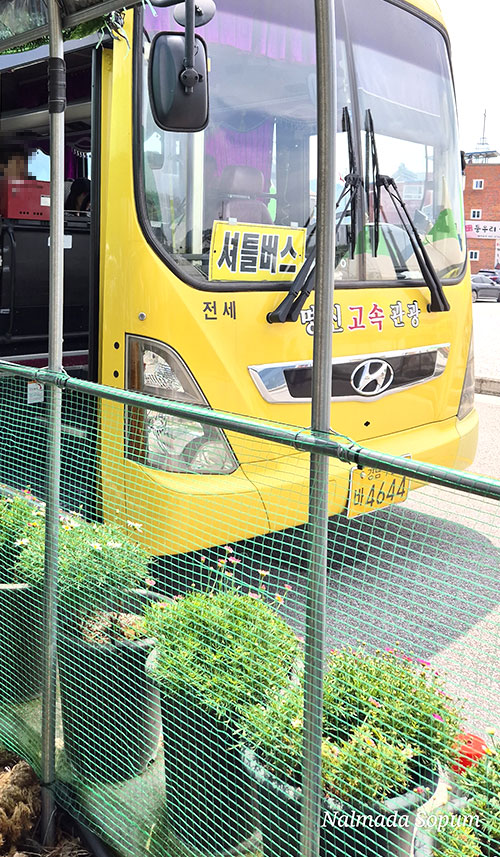 힐링랜드로 향하는 40인승 무료 셔틀버스