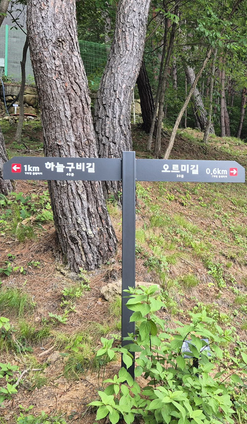 출렁다리로 향하는 나무 계단길